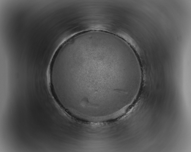 X0000093531032200710121555