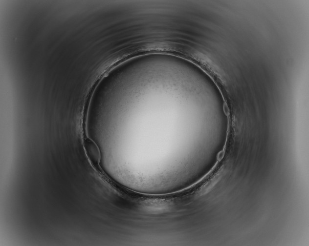 X0000093531033200710121555