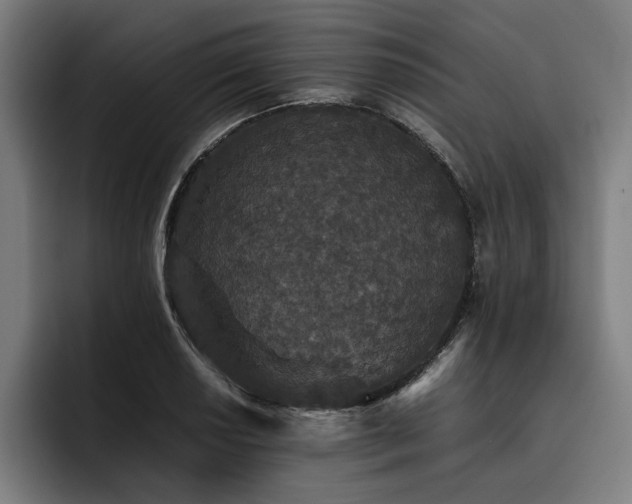 X0000093531034200710121555