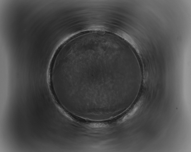 X0000093531037200710121555