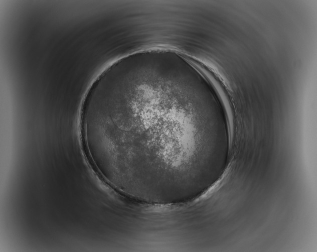 X0000093531038200710121555