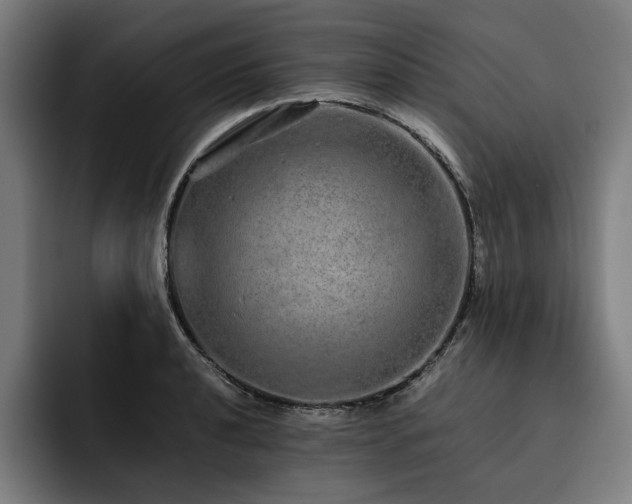X0000093531040200710121555