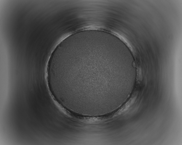 X0000093531042200710121555