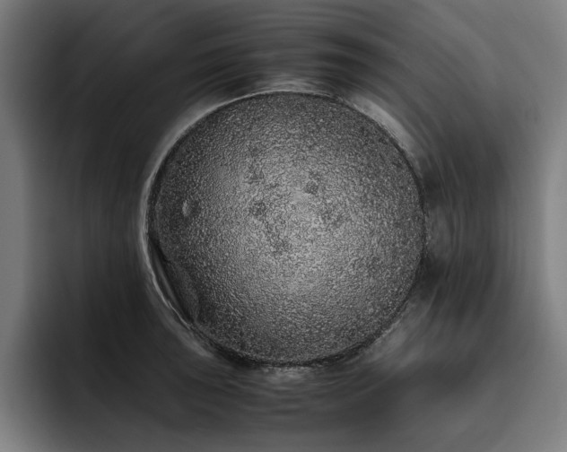 X0000093531043200710121555