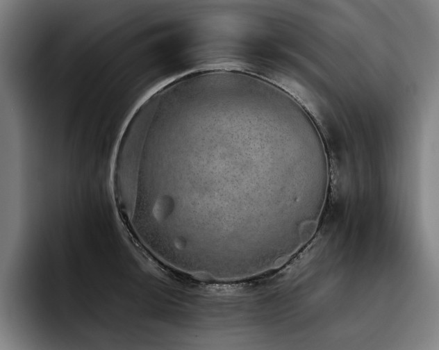 X0000093531044200710121555