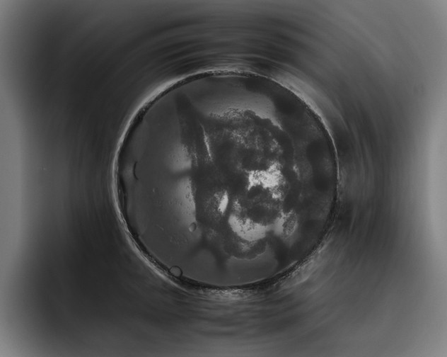 X0000093531045200710121556