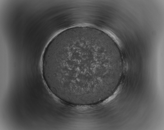 X0000093531046200710121556