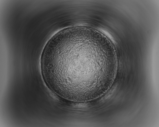X0000093531047200710121556