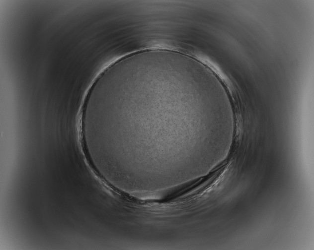 X0000093531048200710121556