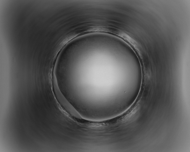 X0000093531049200710121556