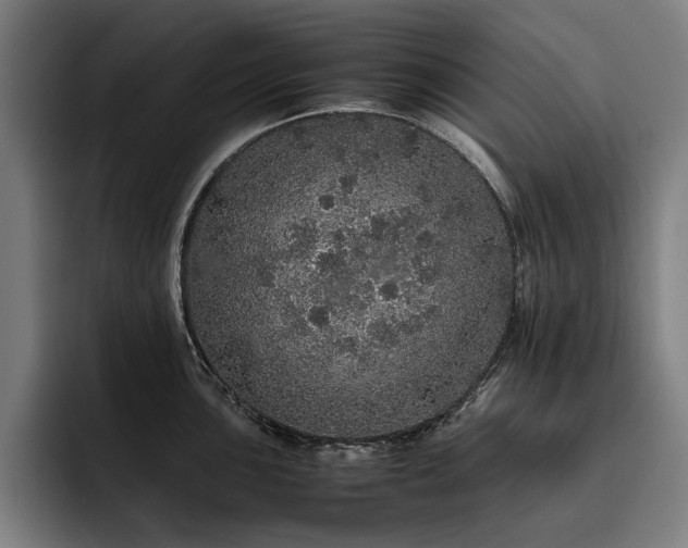 X0000093531051200710121556