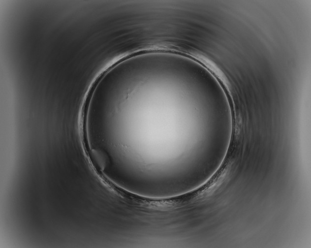X0000093531053200710121556