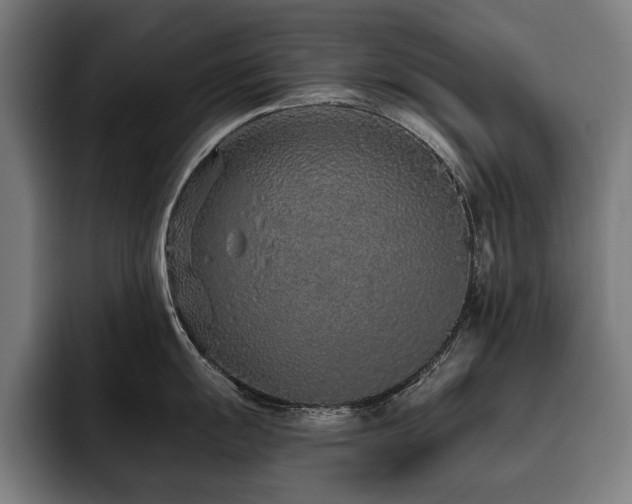 X0000093531055200710121556