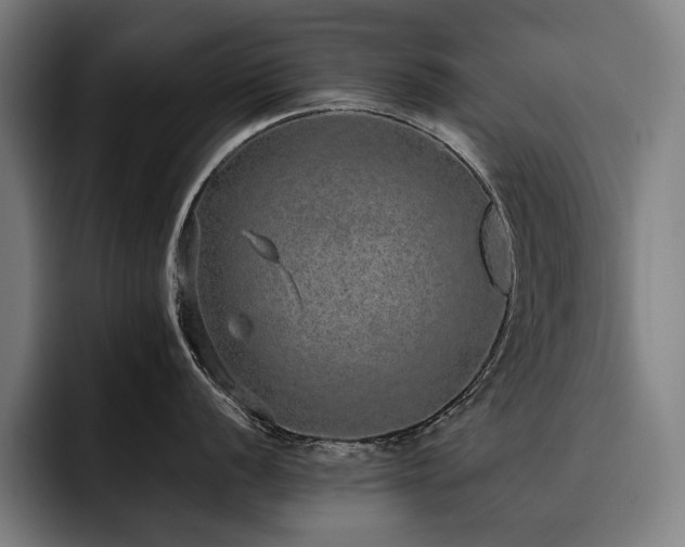 X0000093531056200710121556