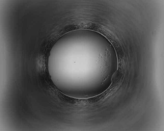 X0000093531058200710121555