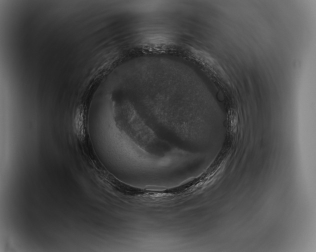 X0000093531060200710121555