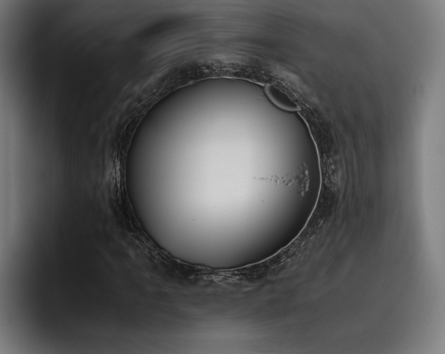 X0000093531061200710121555