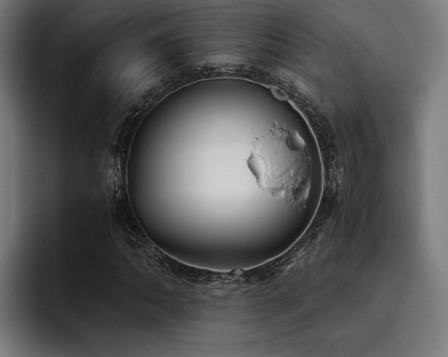 X0000093531062200710121555