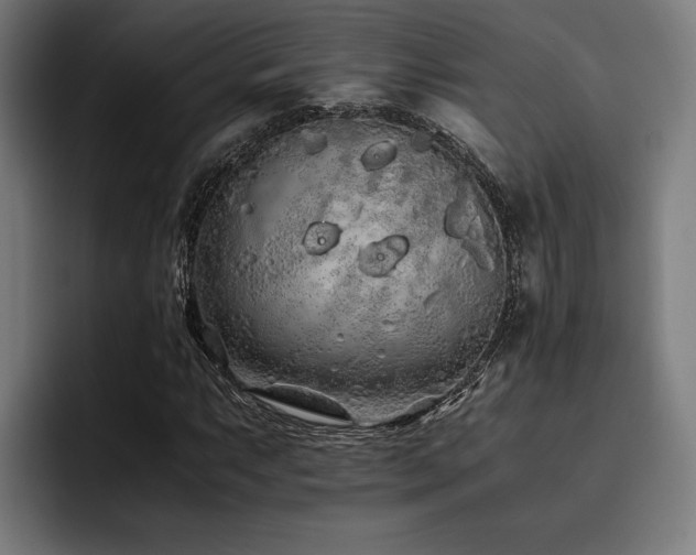X0000093531063200710121555