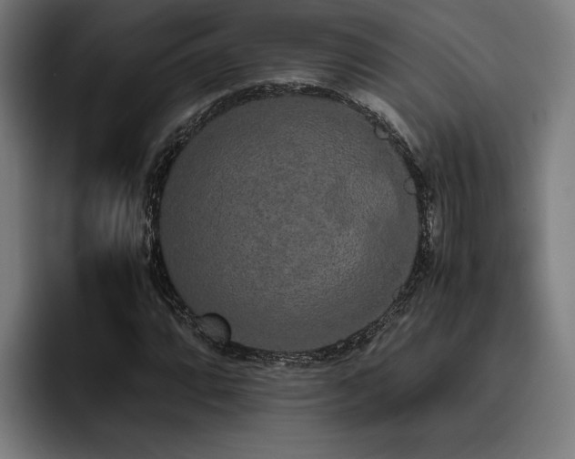 X0000093531064200710121555