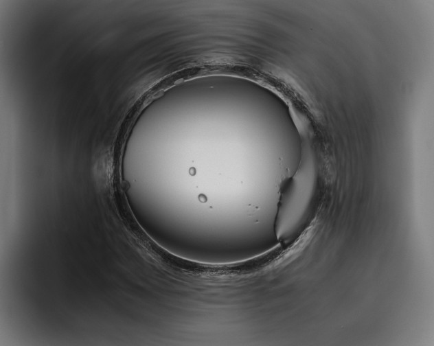 X0000093531065200710121555