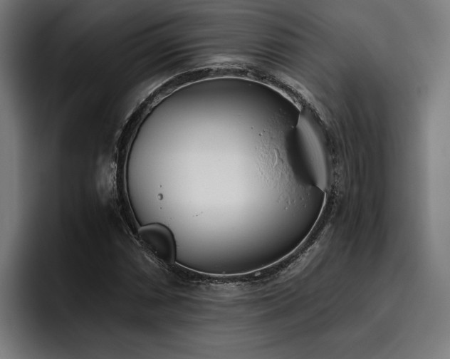 X0000093531066200710121555