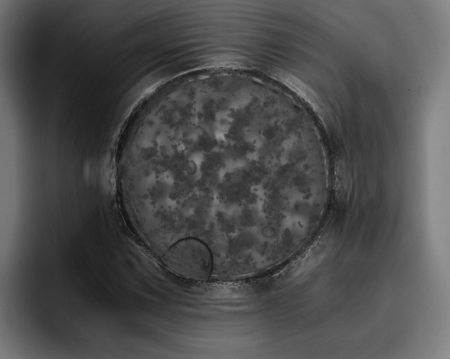 X0000093531067200710121555