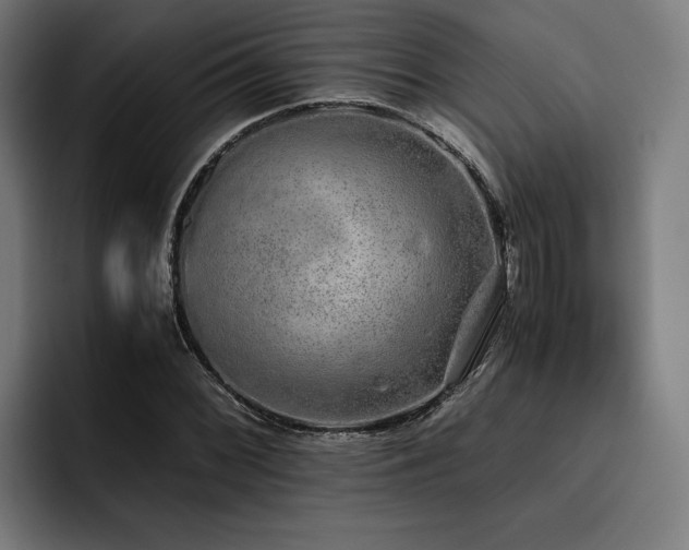 X0000093531068200710121555