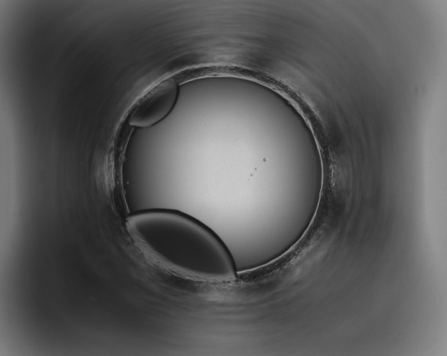 X0000093531069200710121555