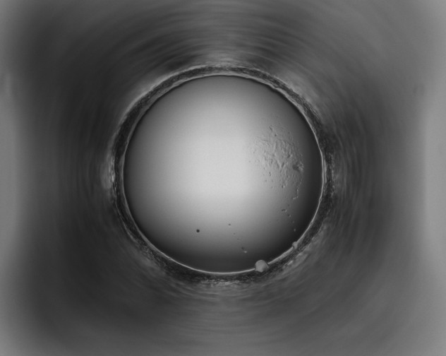 X0000093531070200710121555