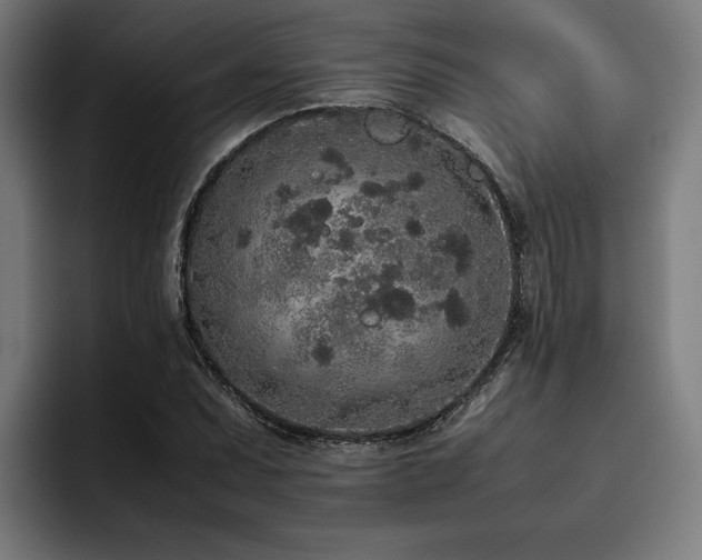 X0000093531071200710121555