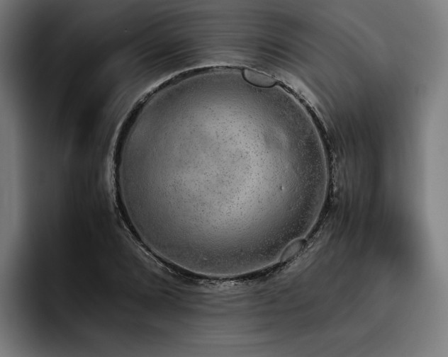 X0000093531072200710121555