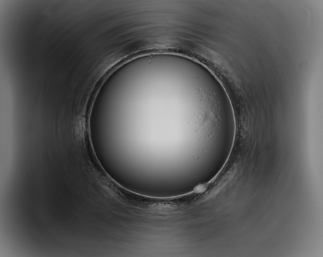 X0000093531073200710121555