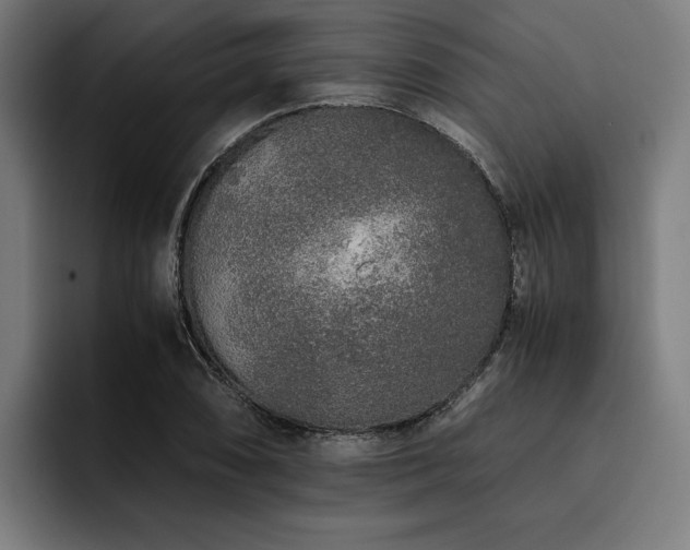 X0000093531074200710121555