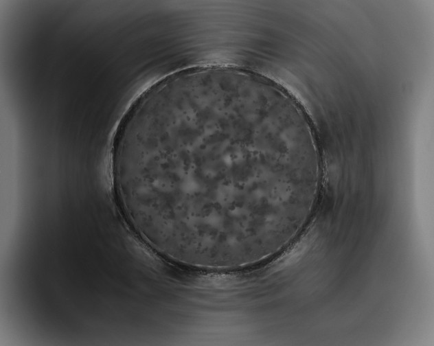 X0000093531075200710121555