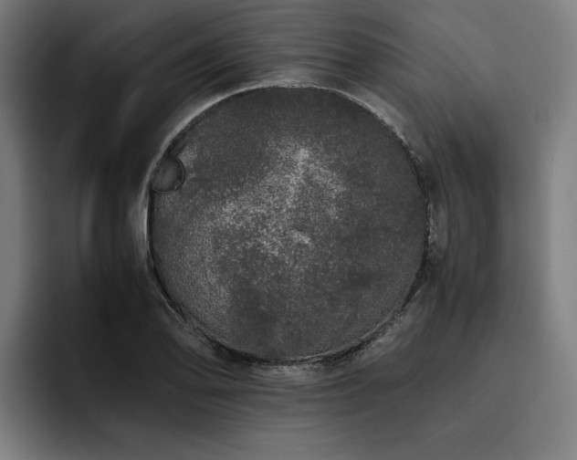 X0000093531078200710121555