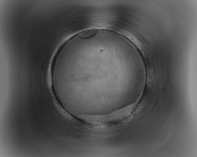 X0000093531080200710121555