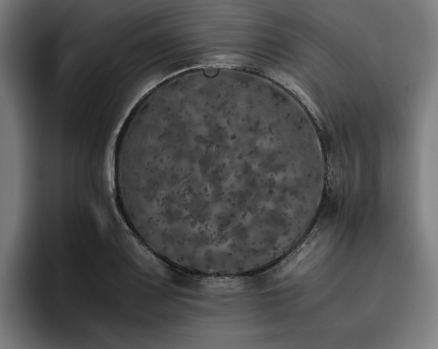 X0000093531083200710121555