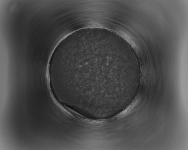X0000093531084200710121555