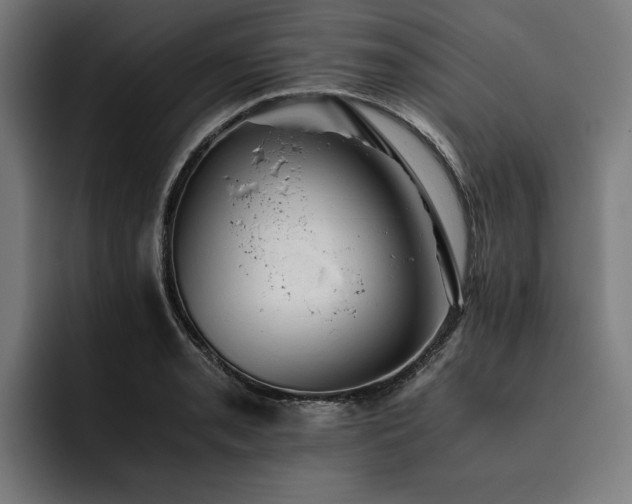 X0000093531085200710121555
