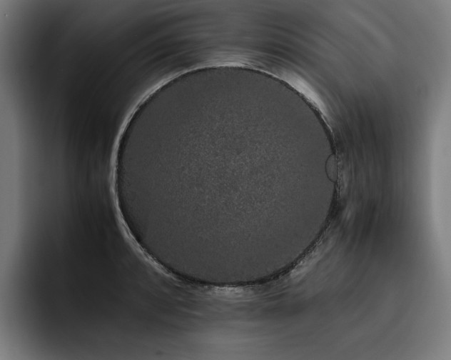 X0000093531088200710121555