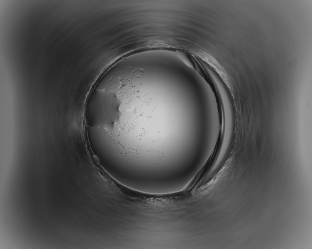 X0000093531089200710121555