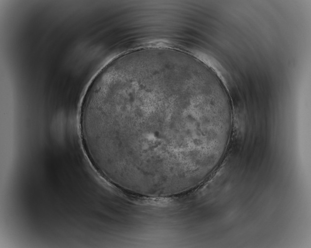 X0000093531090200710121555