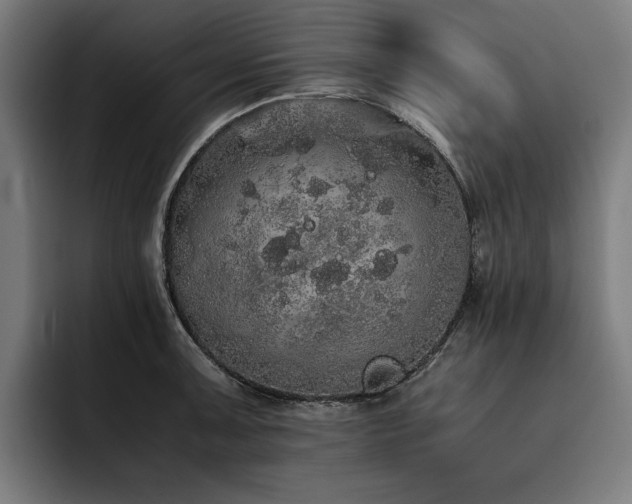 X0000093531091200710121555