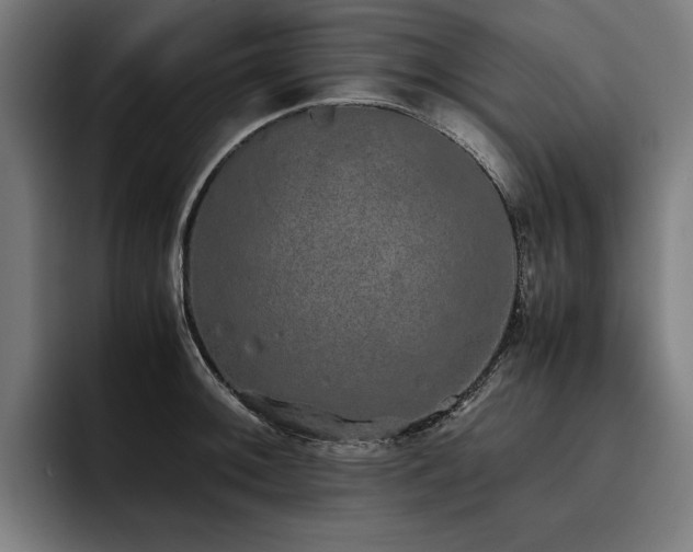 X0000093531092200710121555