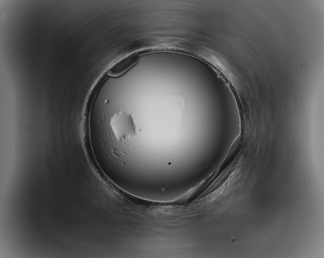 X0000093531093200710121555
