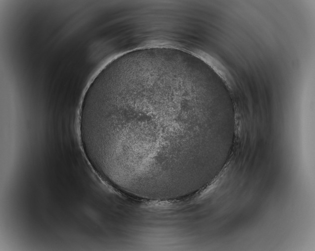 X0000093531094200710121555