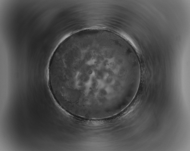 X0000093531095200710121555