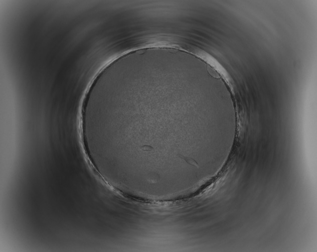 X0000093531096200710121555