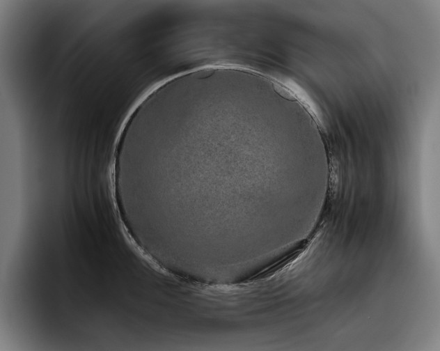 X0000093531100200710121555